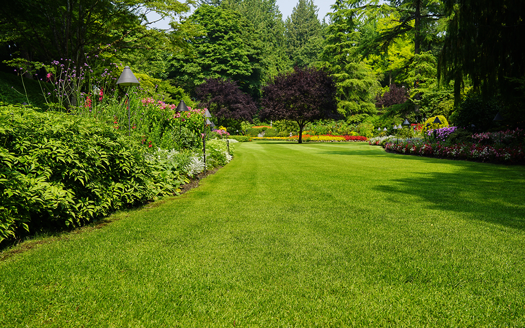 Limpieza de Jardines